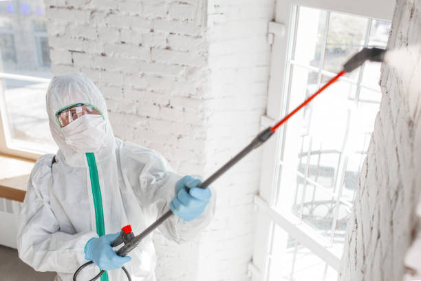 Mold Odor Removal Services in Pawhuska, OK